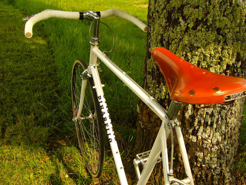 Pinarello Trevisio - Detail view