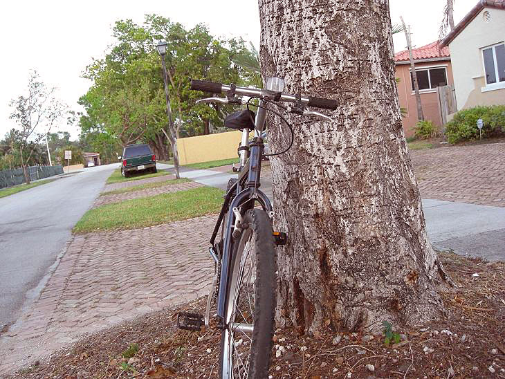 Raleigh - front end view