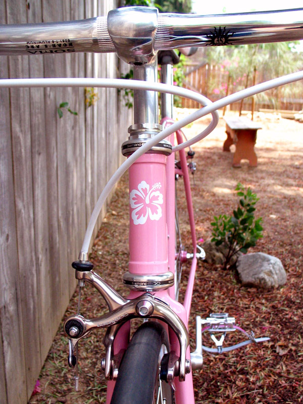 Pink Singlespeed - headtube detail