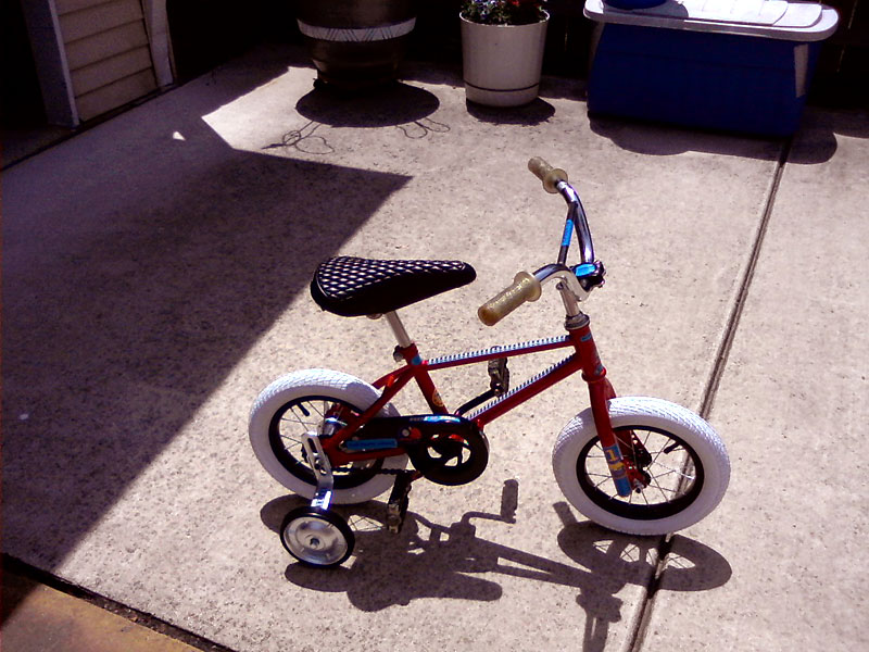 Grandson's Singlespeed - driveside view