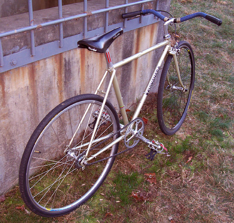 Kuwahara Count - rear angle view