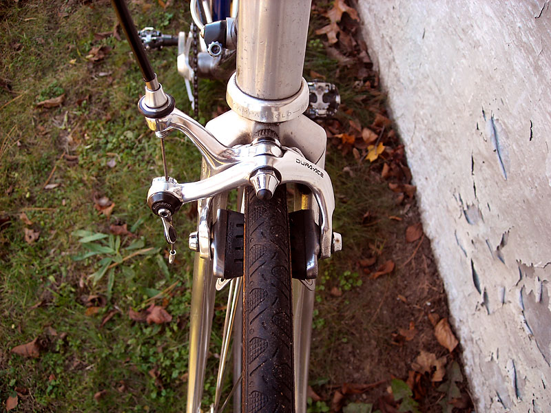 Vitus - front end detail