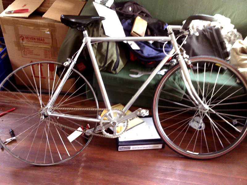 Vitus - side view