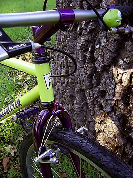 Flickman Bixter - front end detail