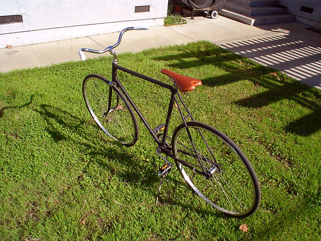 Black & Tan - rear angle view