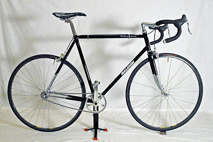 Raleigh Professional - side view