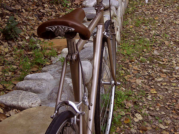 Rear brake detail