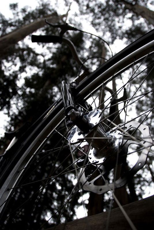 Surly Karate Monkey - low angle view