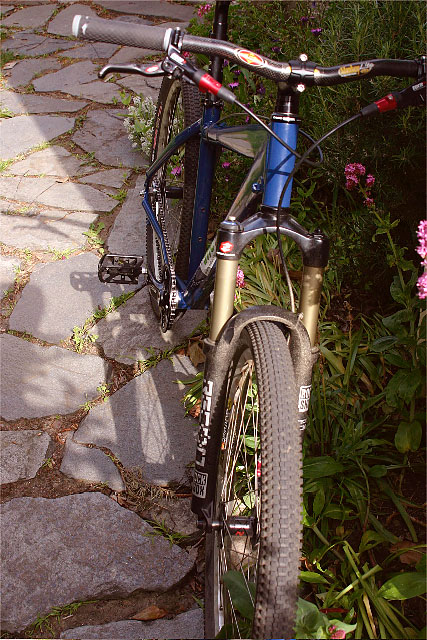 Russ's singlespeed - front end detail