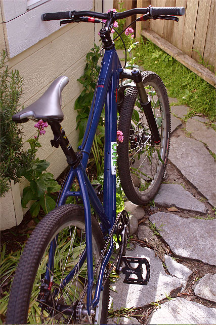 Russ's singlespeed - top down view