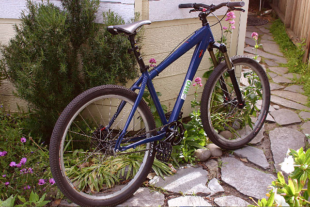 Russ's singlespeed - side view