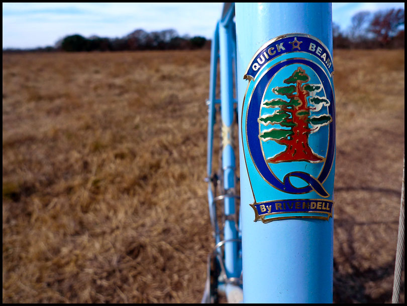 Rivendell Quickbeam - headbadge detail