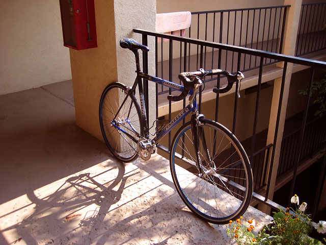 Pinarello Opera - angle view