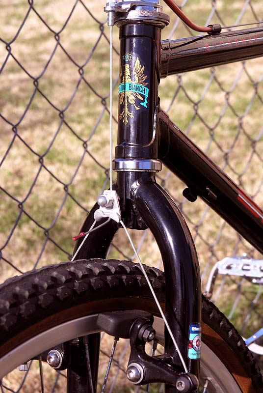 Bianchi Broadway - front brake and fork detail