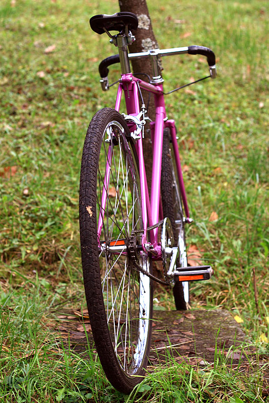 Unis Sprint - Rear Angle View