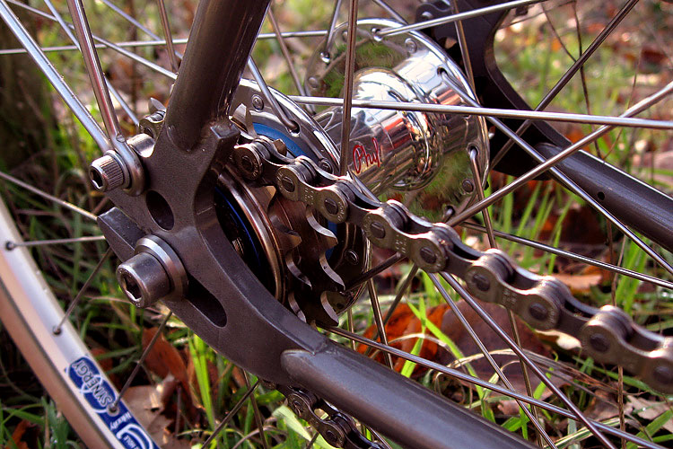 Rivendell Quickbeam - Rear Hub detail