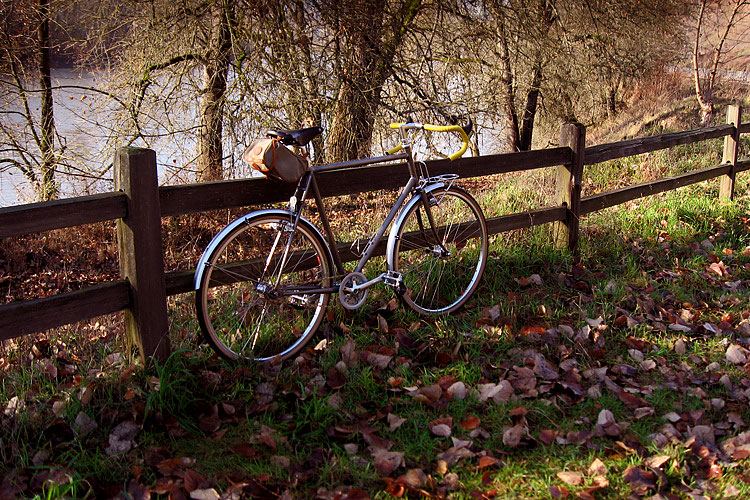 Rivendell Quickbeam - On the fence