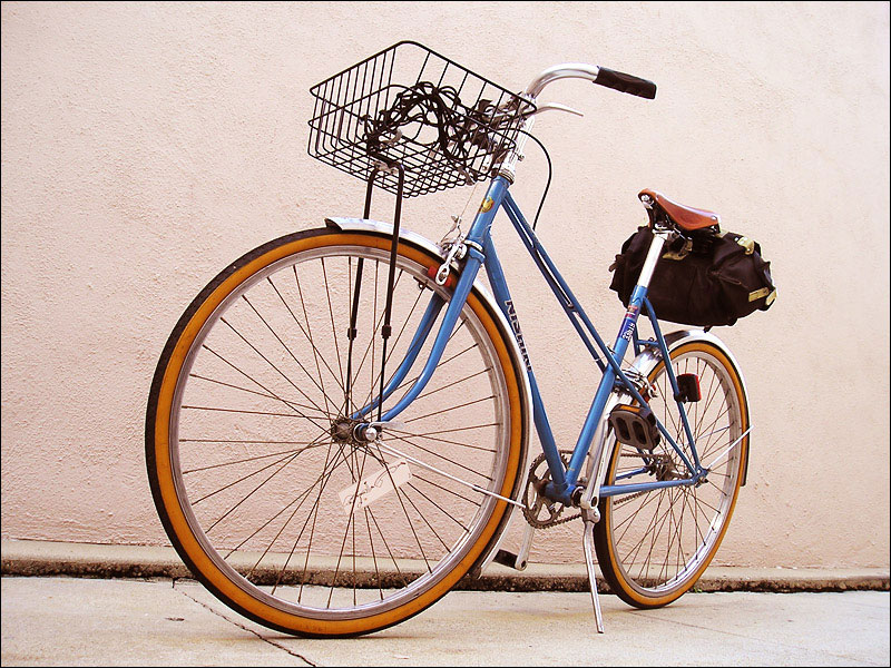 Nishiki Custom Sport - low angle front view