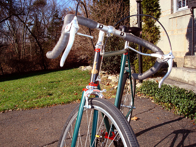 Raleigh - Enjoying a Sunny Day