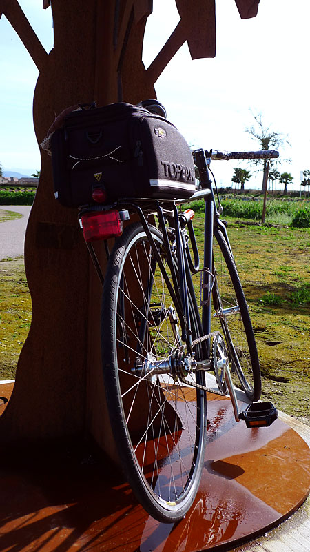 Vincerunner's Singlespeed - aft view