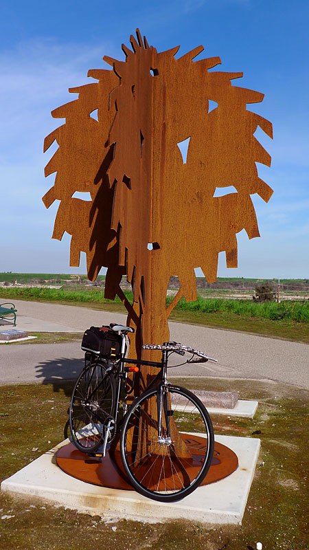 Vincerunner's Singlespeed - Under the Tree