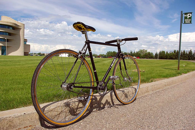 Raleigh - rear angled view