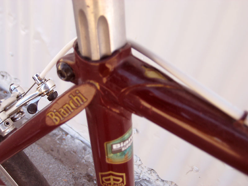 Bianchi - seat stay engraving