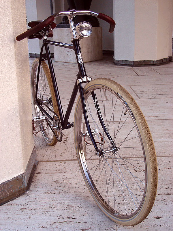 Gazelle - front end view