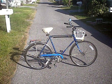 Schwinn Speedster - side view