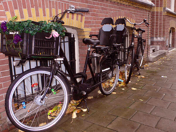 Amsterdam Family Bike - front quarter view