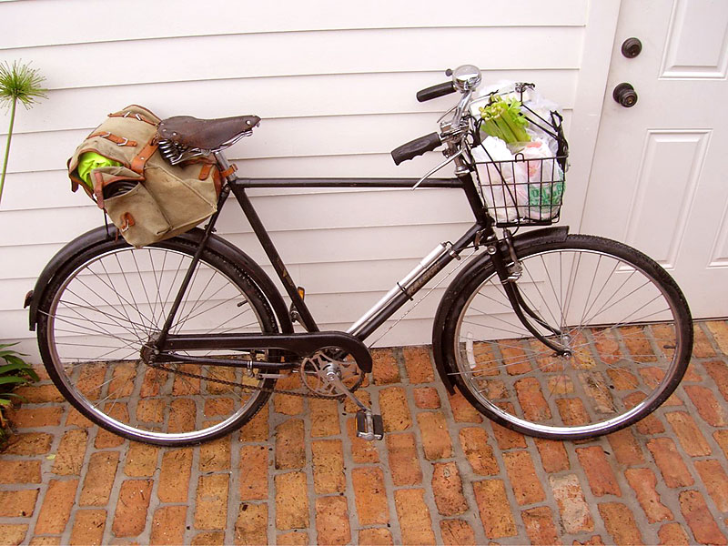 Raleigh DL-1 Tourist - top down view